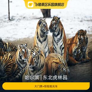 [东北虎林园-大门票+惊险观光车]