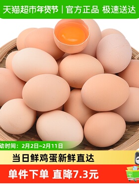 晨诚鲜鸡蛋正宗农家散养柴鸡蛋自养笨鸡蛋45g*50枚新鲜谷物鸡蛋