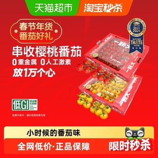 【一颗大】玲珑串收樱桃番茄酸甜孕妇水果新鲜采摘