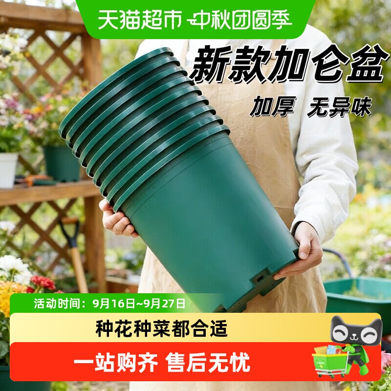 德沃多肥料花盆避免烂根防晒抗摔										