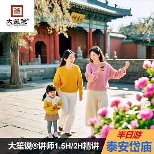 【金秋热卖】大笙说岱庙讲解【金牌导游1.5/2H讲解+含门票】