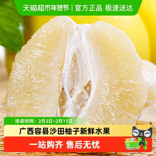 广西容县沙田柚子新鲜水果白肉纯甜当季现摘蜜柚金柚整箱