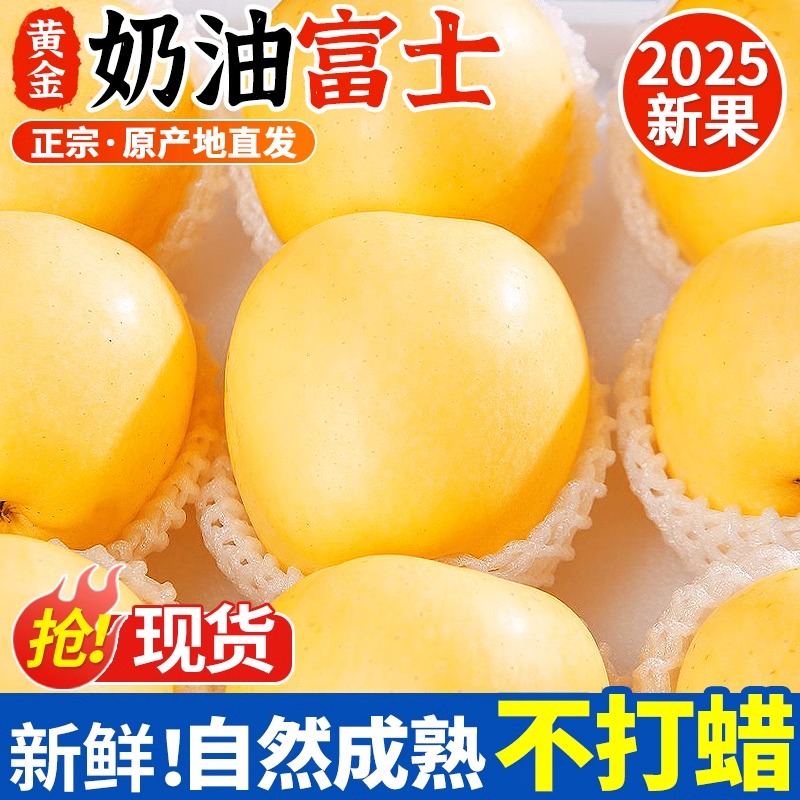 618黄金奶油富士苹果山东烟台新鲜现摘水果当季时令脆甜5斤包邮