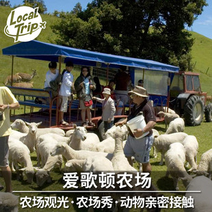 [爱歌顿农场-农场秀+农场观光（套票）]新西兰罗托鲁瓦爱歌顿农场 农场秀+农场观光