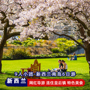 9人新西兰南岛6日美食纯玩小团基督城皇后镇库克山跟团旅游签证