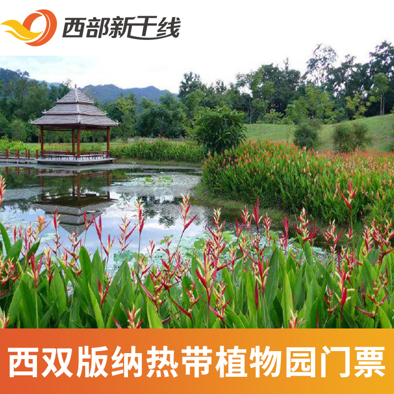 [中国科学院西双版纳热带植物园-大门票]西双版纳热带植物园 门票