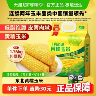 8根粘苞米低脂早餐 十月稻田黄糯玉米东北糯玉米220g 送货上门
