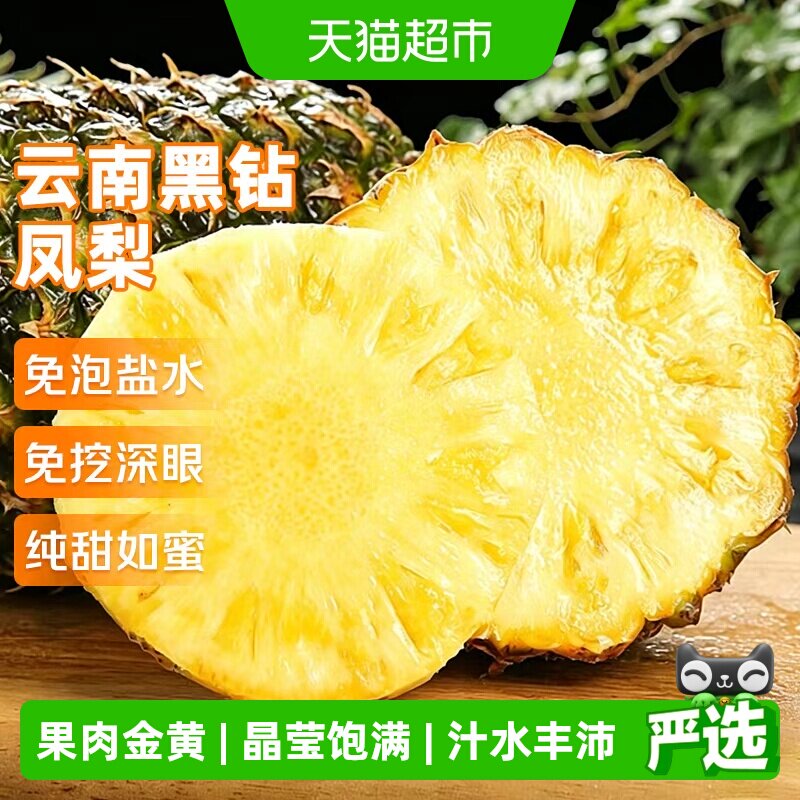 京运达云南黑钻凤梨树上熟爆汁图片