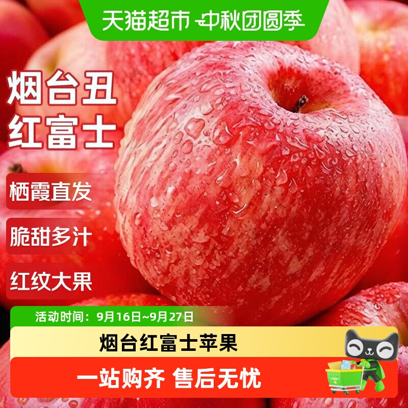 寻天果蔬红富士苹果霜降采摘