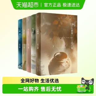 清水洗尘 迟子建小说自选集一坛猪油 白日 最短 逝川 炖马靴