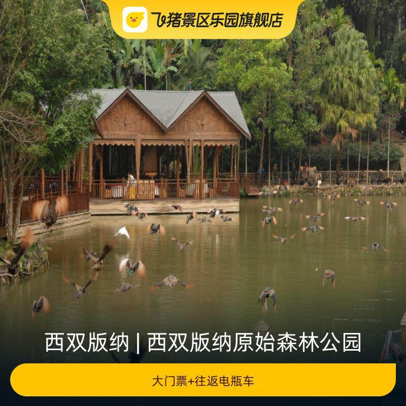 [西双版纳原始森林公园-大门票+往返电瓶车]