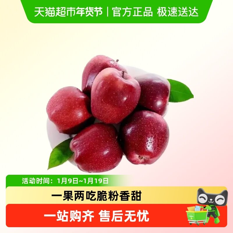 【臻选】甘肃花牛苹果新鲜水果孕妇宝宝辅食粉面果,水产肉类/新鲜蔬果/熟食,苹果,淘宝优惠券,粉丝福利购,淘宝优惠卷