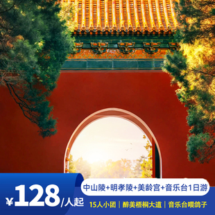 南京钟山 音乐台一日游 中山陵 明孝陵 穿越梧桐树 美龄宫 15人团