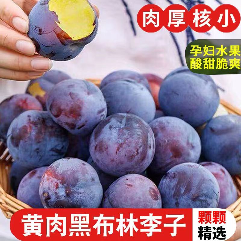 正宗新鲜黑布林李子当季水果酸甜可口果园直发