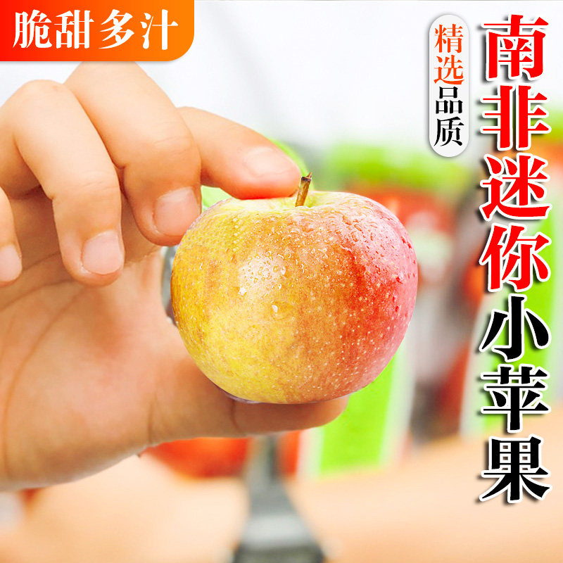 南非牛顿迷你小苹果6粒单果80-100g牛顿小苹果加力果姬娜果