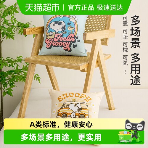 Snoopy史努比多功能抱枕