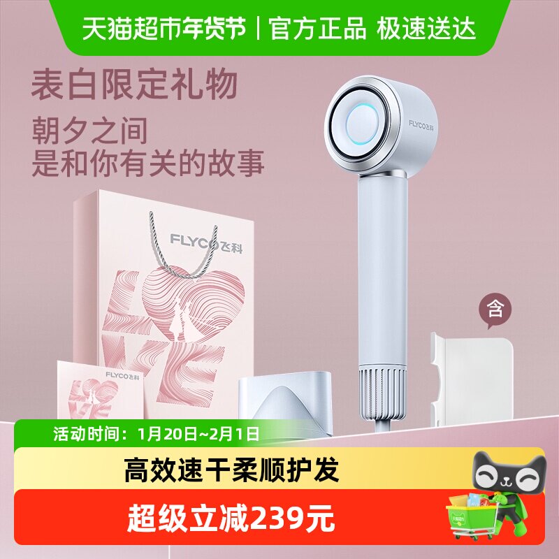 飞科高速吹风机家用负离子护发速干大风力电吹风筒新年礼物FH637