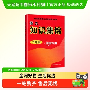 小学语文知识集锦湖南专用版重点核心基础知识大全升级版一二三四