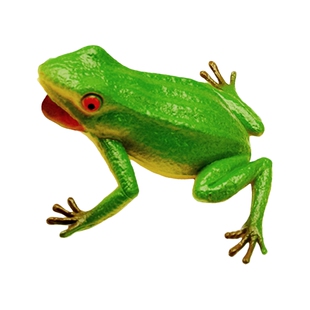 仿真青蛙玩具捏捏叫BB哨会发声儿童益智认知吓人蛤蟆静态动物模型