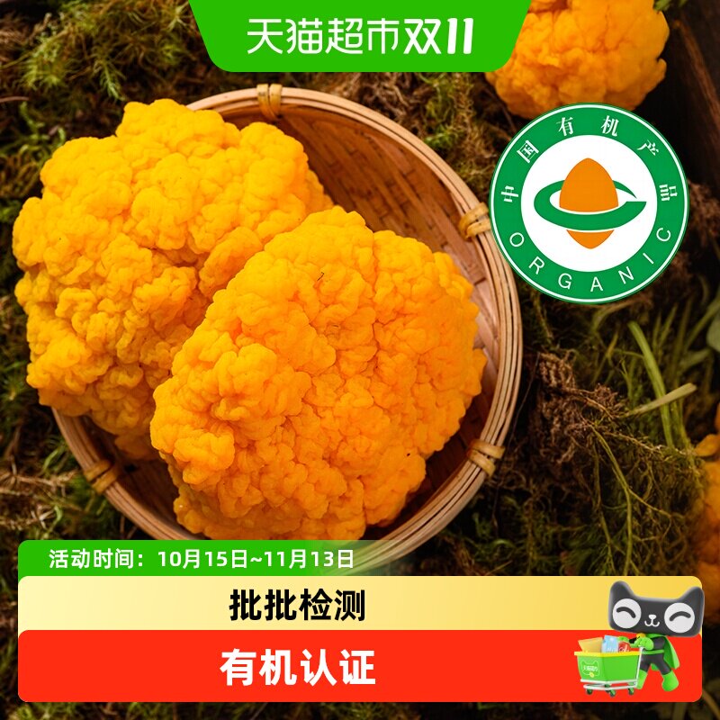 甄选有机新鲜金耳黄金脑耳木耳蘑菇大朵特产糯耳菌菇非干货刺身