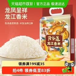 金福乔府大院龙江香米5Kg*1袋长粒香大米GB/T1354