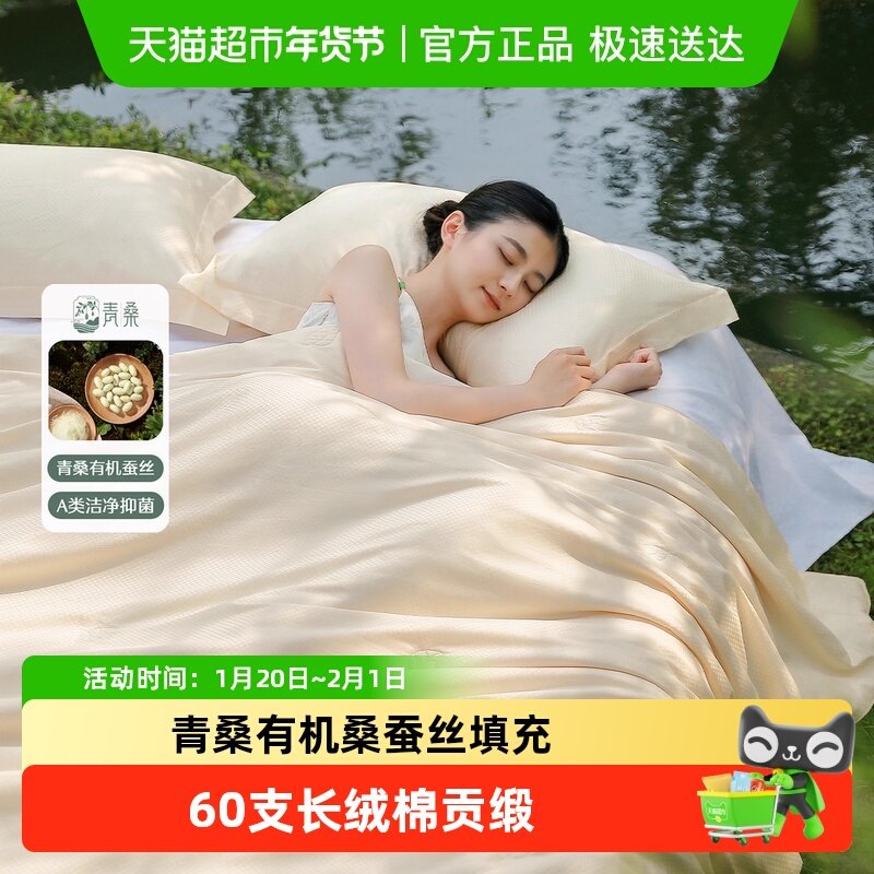 水星家纺60支长绒棉轻奢桑蚕丝被秋冬二合一子母被芯年货青桑有机,床上用品,蚕丝被,淘宝优惠券,粉丝福利购,淘宝优惠卷