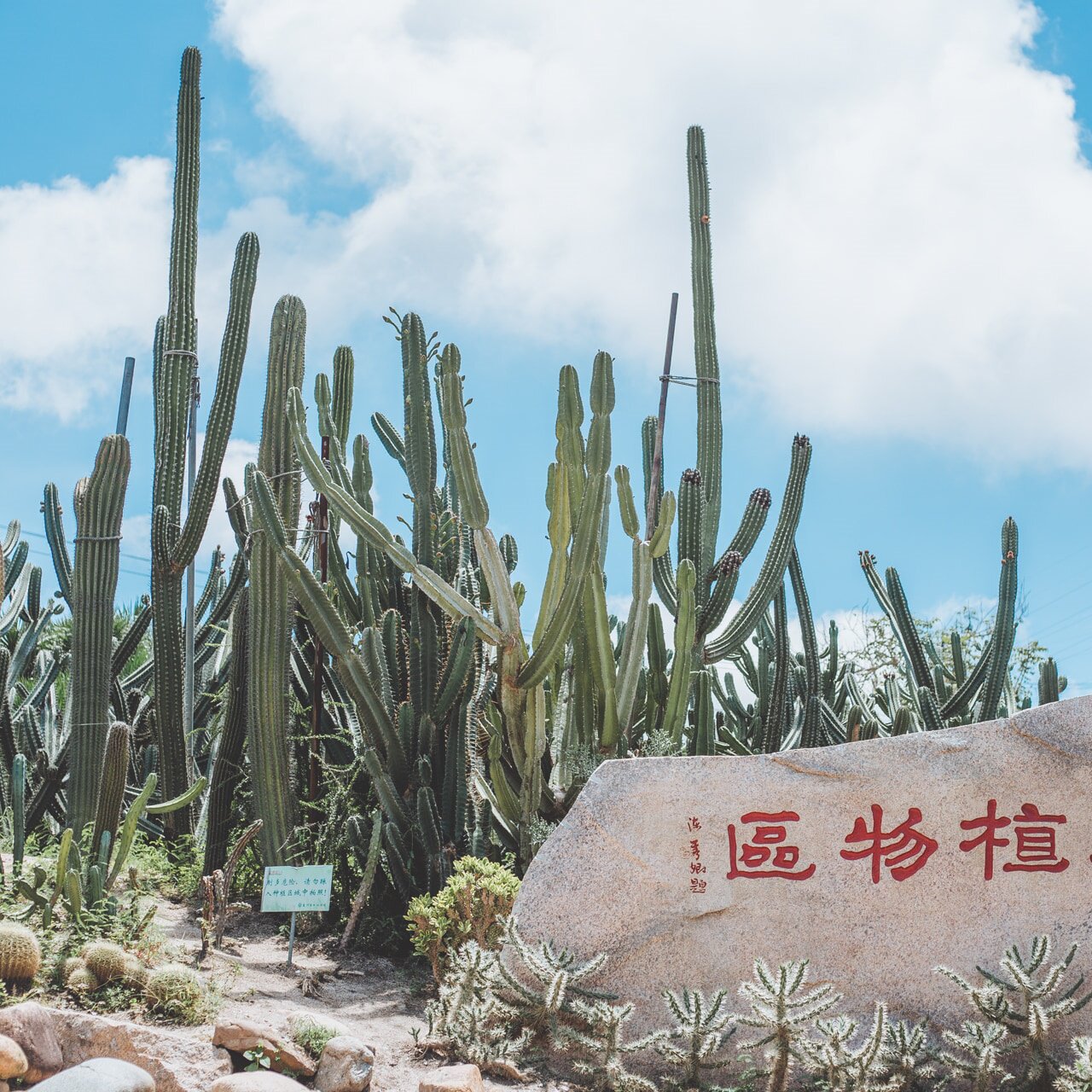 厦门旅游园林植物园雨林多肉奇趣馆【纯玩丨私讲团丨人工讲解】