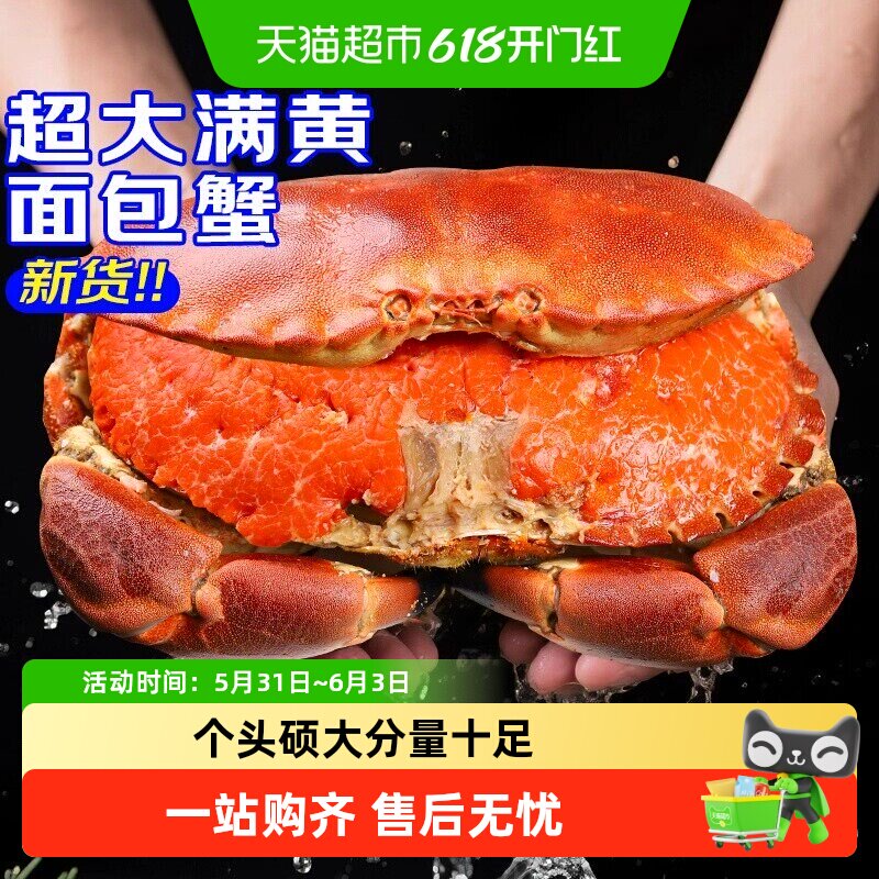 顺丰上门面包蟹特大母帝王蟹熟冻大螃蟹海蟹新鲜海鲜水产黄金蟹