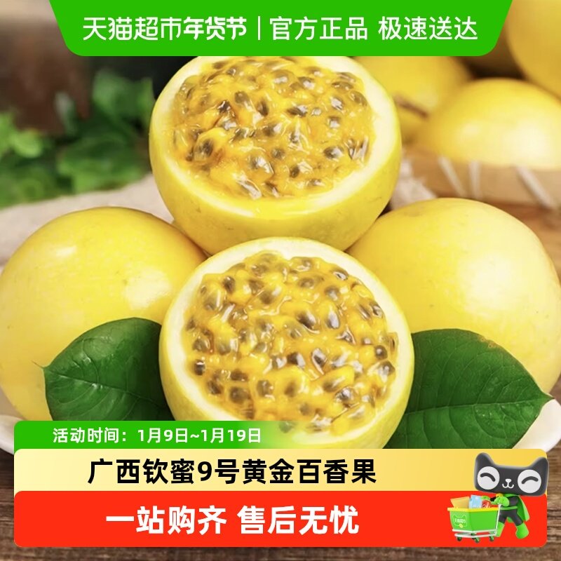 ��������9�Żƽ�����Ӧ��ˮ���������ʰ�������� 19.2Ԫ