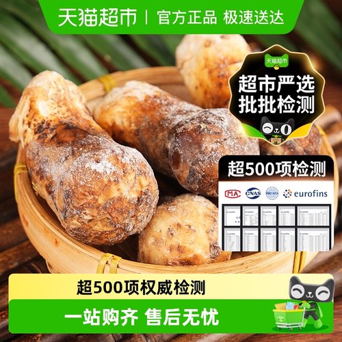 玲珑岭香格里拉新鲜松茸未开伞