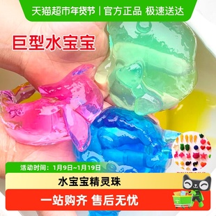 水宝宝泡大珠巨无霸型泡吸水珠膨胀玩具无毒海绵宝宝异形发货