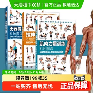 拉伸训练彩色图谱 无器械力量训练彩色图谱 肌肉力量训练彩色图谱