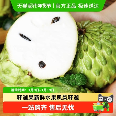 胡鲜森食品新鲜现摘释迦果