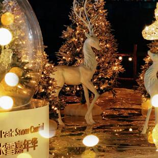 [大运河杭钢公园冰雪嘉年华-夜场票]大运河杭钢公园冰雪嘉年华 夜场票