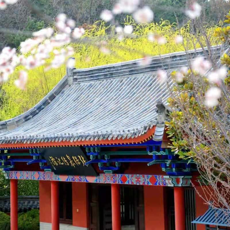 [石岛赤山-大门票]赤山风景区门票荣成石岛法华寺