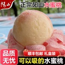 包邮 正宗无锡阳山水蜜桃礼盒顺丰 皮薄肉厚爆汁香甜