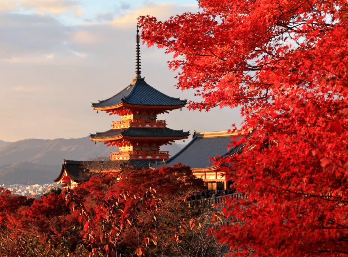 京都一日游大阪奈良公园