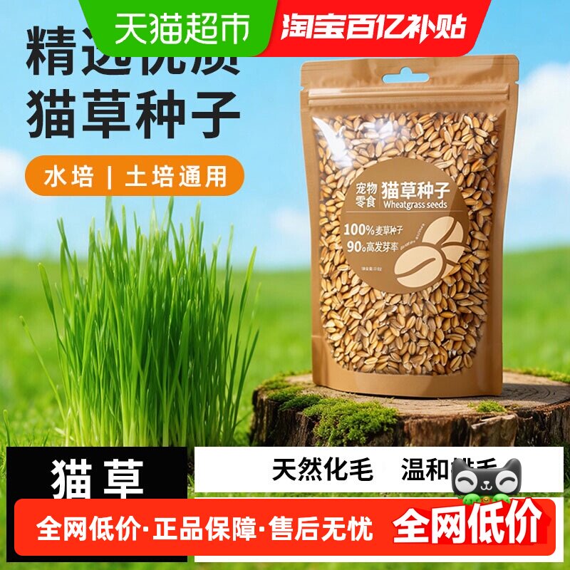 猫草盆栽种子水培无土种籽猫吃自种猫咪化毛去毛球零食懒人猫麦草