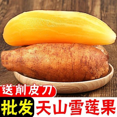 今年头茬新果云南雪莲果天山黄心新鲜水果蔬菜脆甜多汁直发