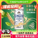 3听 青岛啤酒白啤500ml