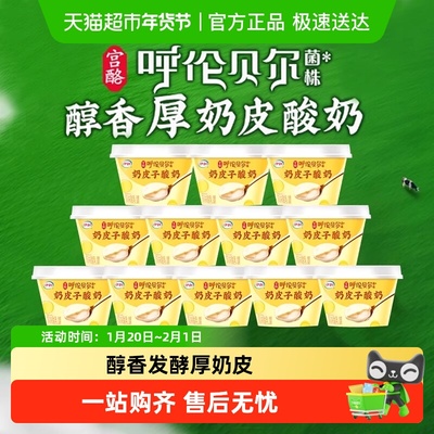 伊利奶皮子酸奶原味生牛乳发酵