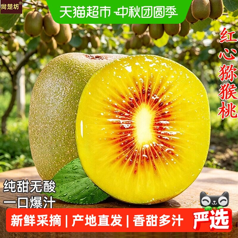 四川蒲江红心猕猴桃新鲜采摘图片