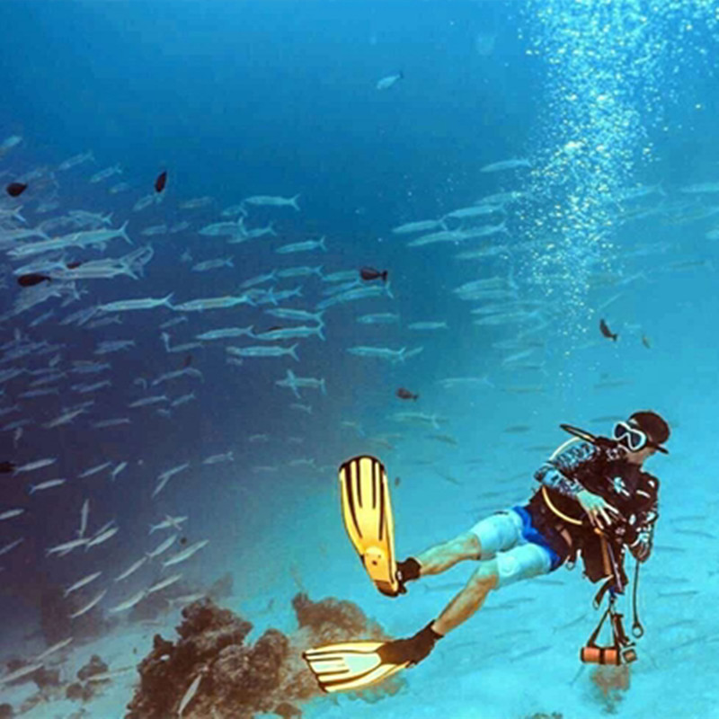 [红海湾旅游区-金屿岛深潜+一对一服务+往返接送+淡水冲凉]金屿滩深潜