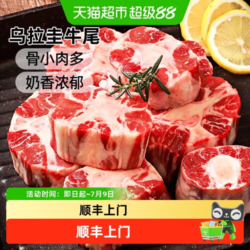 澳谷牧场乌拉圭原切牛尾骨去油边