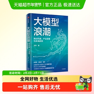 大模型浪潮 商业机遇 产业变革与未来趋势 沈抖 著 智能经济