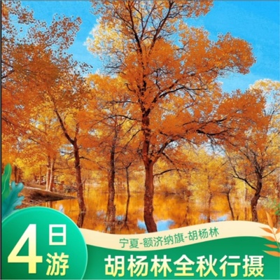 额济纳旗胡杨林跟团4日精品游拼车游+居延海+怪树林+宁夏银川旅游