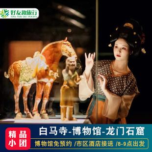 【20人小团】白马寺洛阳博物馆龙门石窟跟团一日游市区酒店接送团