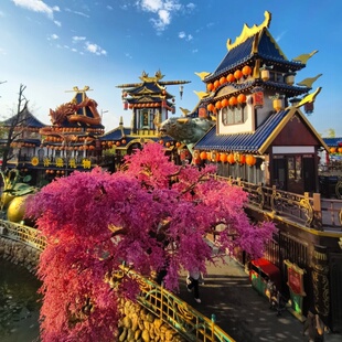 云南精选 ▏宁波昆明6日游含往返交通 游玩翠湖滇池大理古城洱海