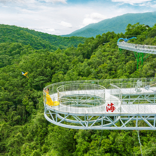 【雨林观光】海南呀诺达雨林景区门票+往返缆车+玻璃平台