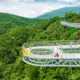 玻璃平台 往返缆车 雨林观光 海南呀诺达雨林景区门票